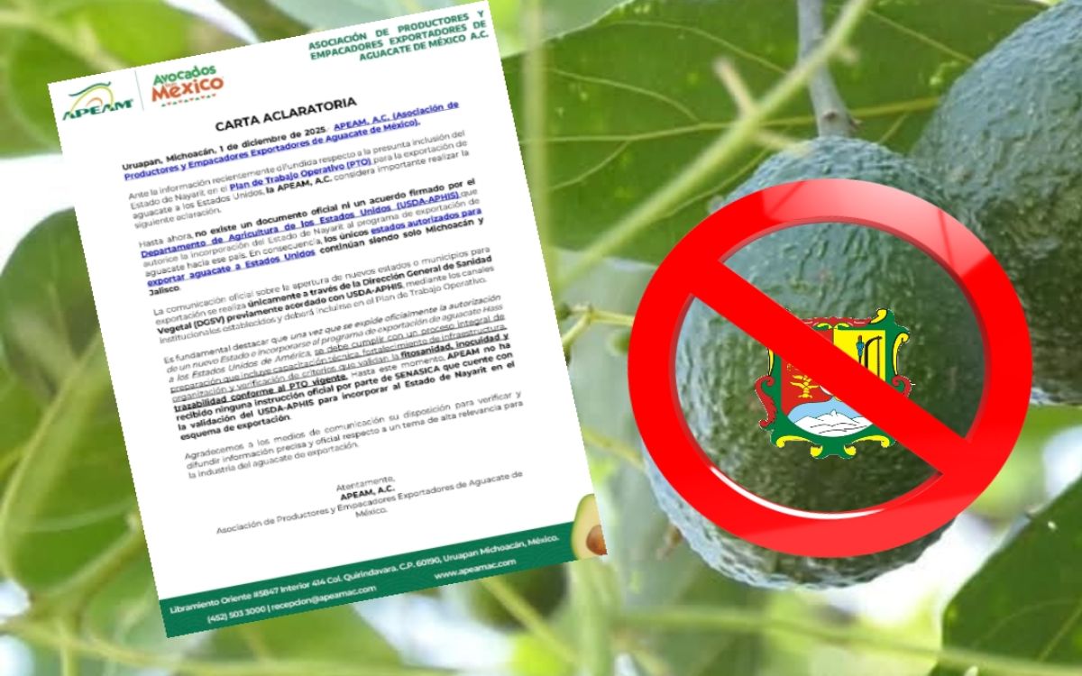 APEAM desmiente certificación de exportación de aguacate nayarita