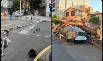 Un adulto mayor que sufrió un infarto y cayó de las escaleras, única víctima fatal del sismo de 6.5 que se sintió en la CDMX