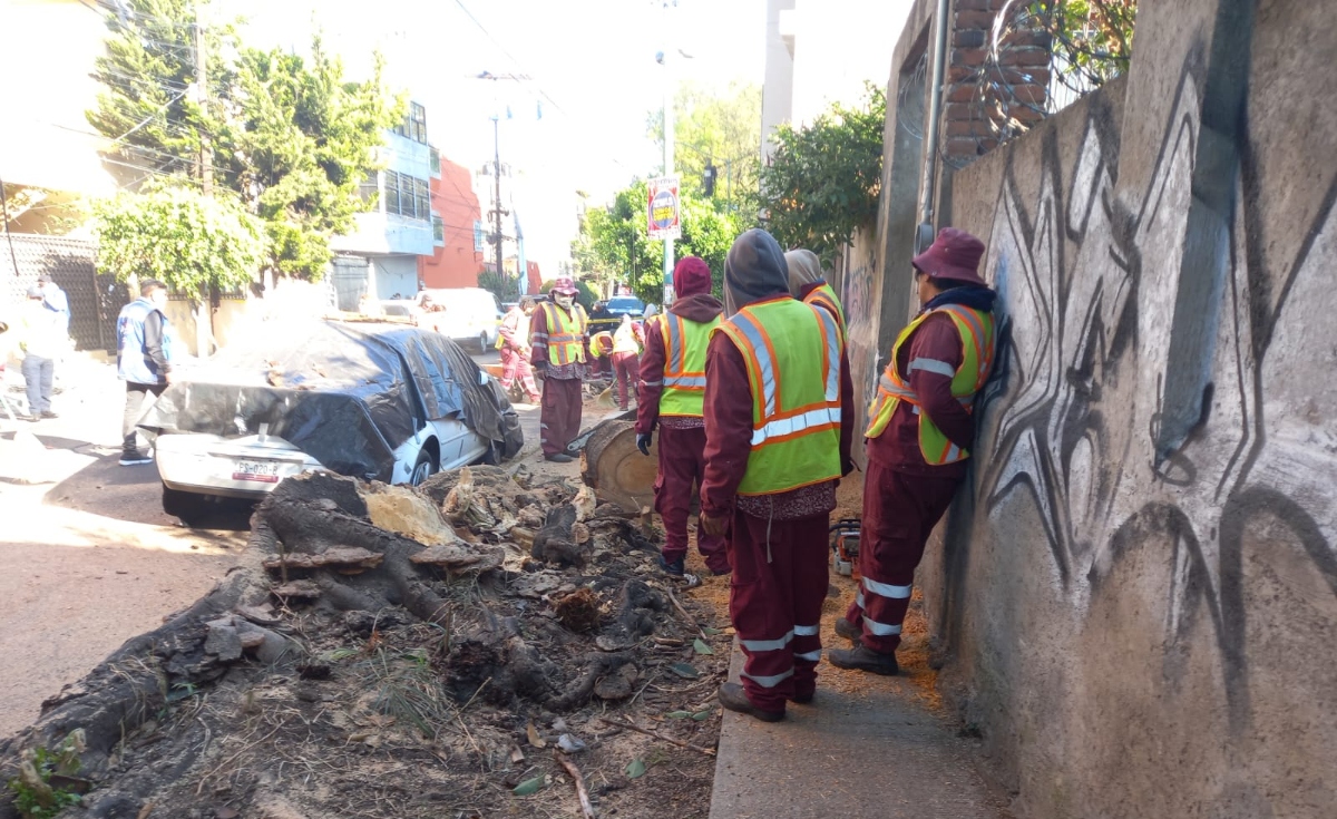 Foto: Juan Omar Fierro/Aristegui Noticias