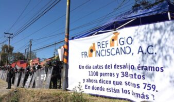 Escala pleito legal: Fundación Haghenbeck demandará a Refugio Franciscano por daño moral tras acusación de montaje
