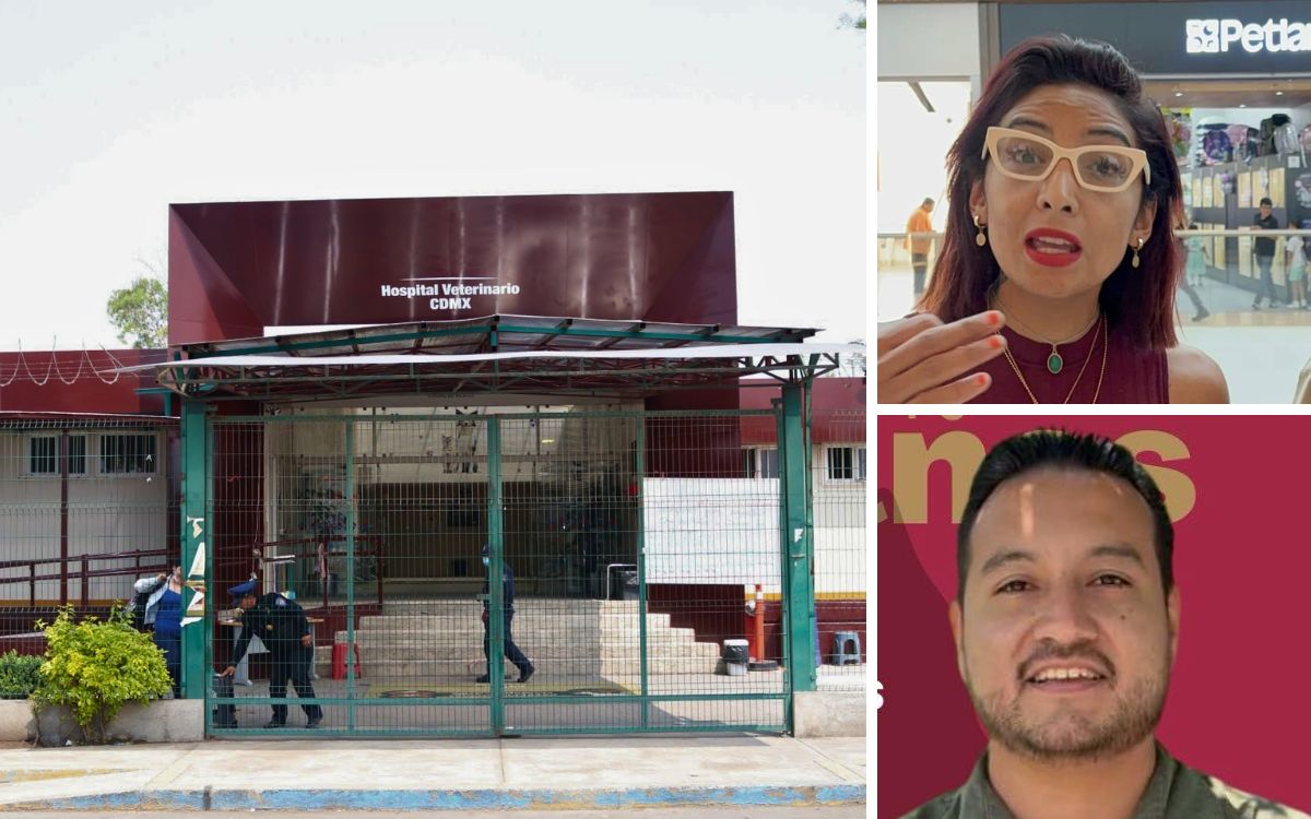 Hospital Veterinario de CDMX opera entre falta de equipo y hostigamiento sistemático, denuncian médicas Hospital Veterinario de CDMX opera entre falta de equipo y hostigamiento sistemático, denuncian médicas