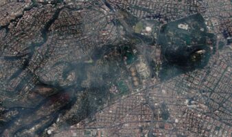 'Naturalista en Chapultepec': descubre su vida silvestre | Por Carlos Galindo Leal