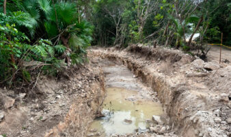Juzgado concede suspensión definitiva que frena cambios de uso de suelo en 'Perfect Day Mahahual'