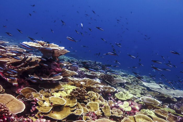 <span style="font-size: 12px;">EFE</span>