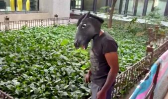 Congreso de Nuevo León recibe propuesta de 'Ley Therian' contra discriminación