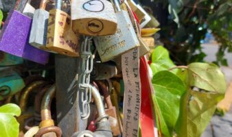 El MODO te invita a celebrar el Día de San Valentín