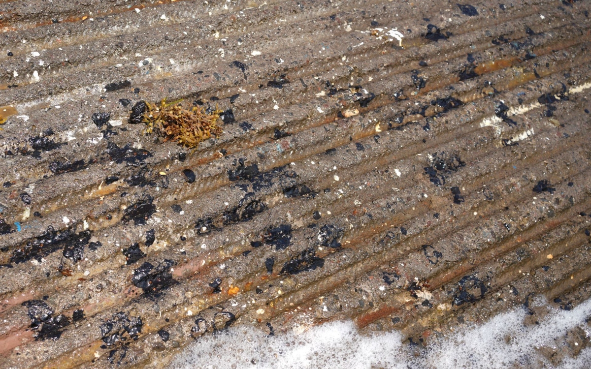 Sigue la llegada de petrolíferos a Veracruz y Tamaulipas; suman 825 toneladas recolectadas Sigue la llegada de petrolíferos a Veracruz y Tamaulipas; suman 825 toneladas recolectadas