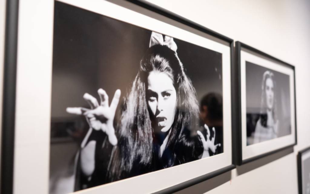 “Maravillosas, monstruosas", un homenaje a los personajes femeninos del cine de terror mexicano “Maravillosas, monstruosas", un homenaje a los personajes femeninos del cine de terror mexicano