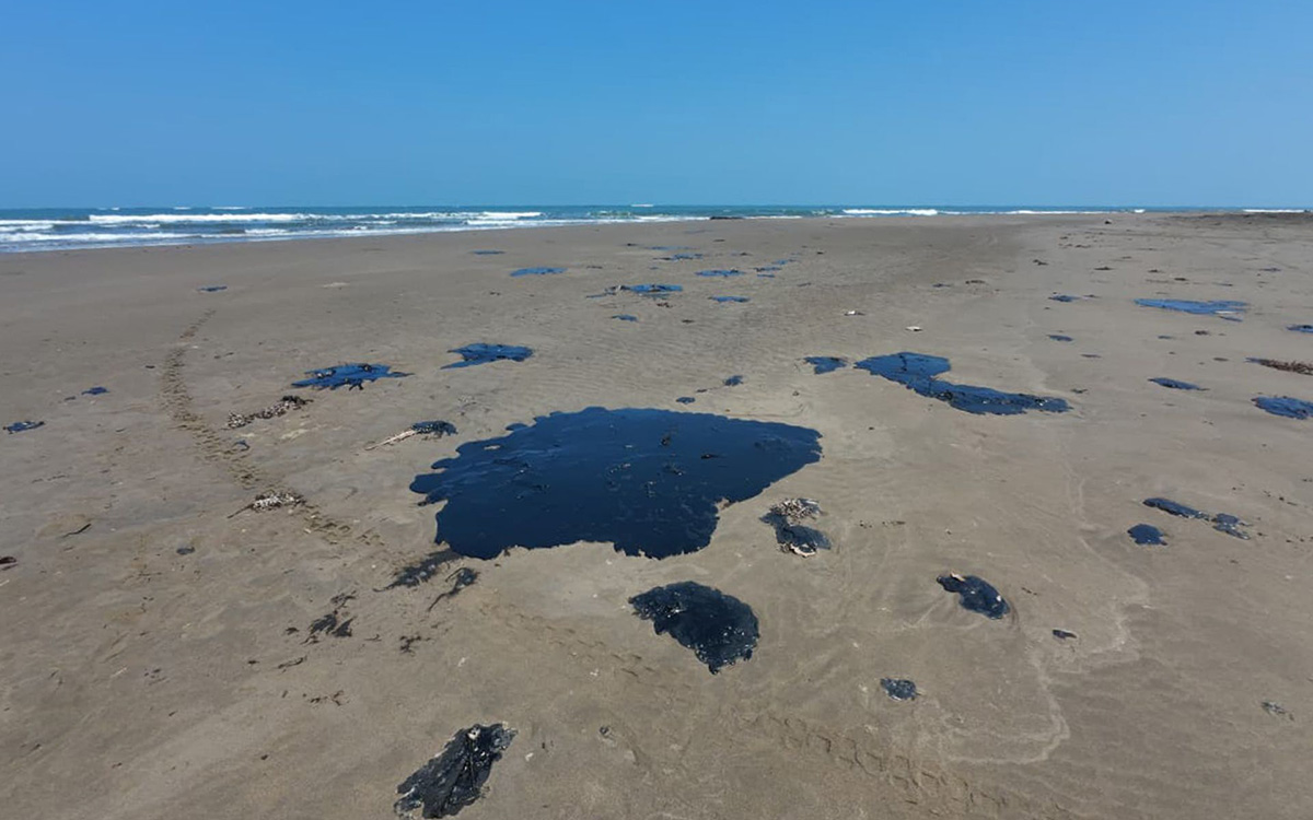 Derrame en el Golfo exhibe omisiones, dudas sobre origen y afectaciones crecientes: ambientalistas Derrame en el Golfo exhibe omisiones, dudas sobre origen y afectaciones crecientes: ambientalistas