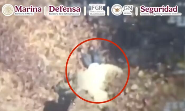 Foto: Especial Marina