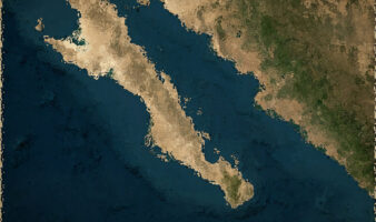 Proyecto Saguaro es 'imperialismo ecológico' en el Golfo de California: Mittermeier