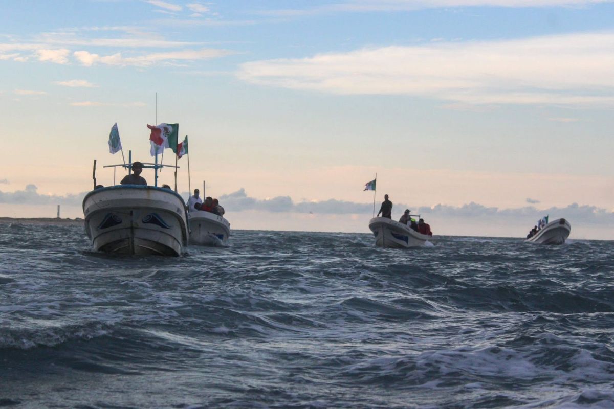 Tamaulipas | Misión ambiental en Playa Bagdad denuncia presencia extranjera Tamaulipas | Misión ambiental en Playa Bagdad denuncia presencia extranjera
