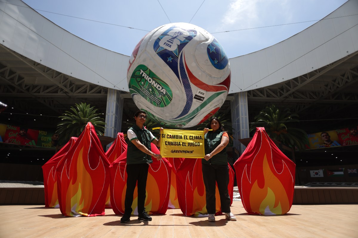 Foto: Greenpeace México (Cortesía)