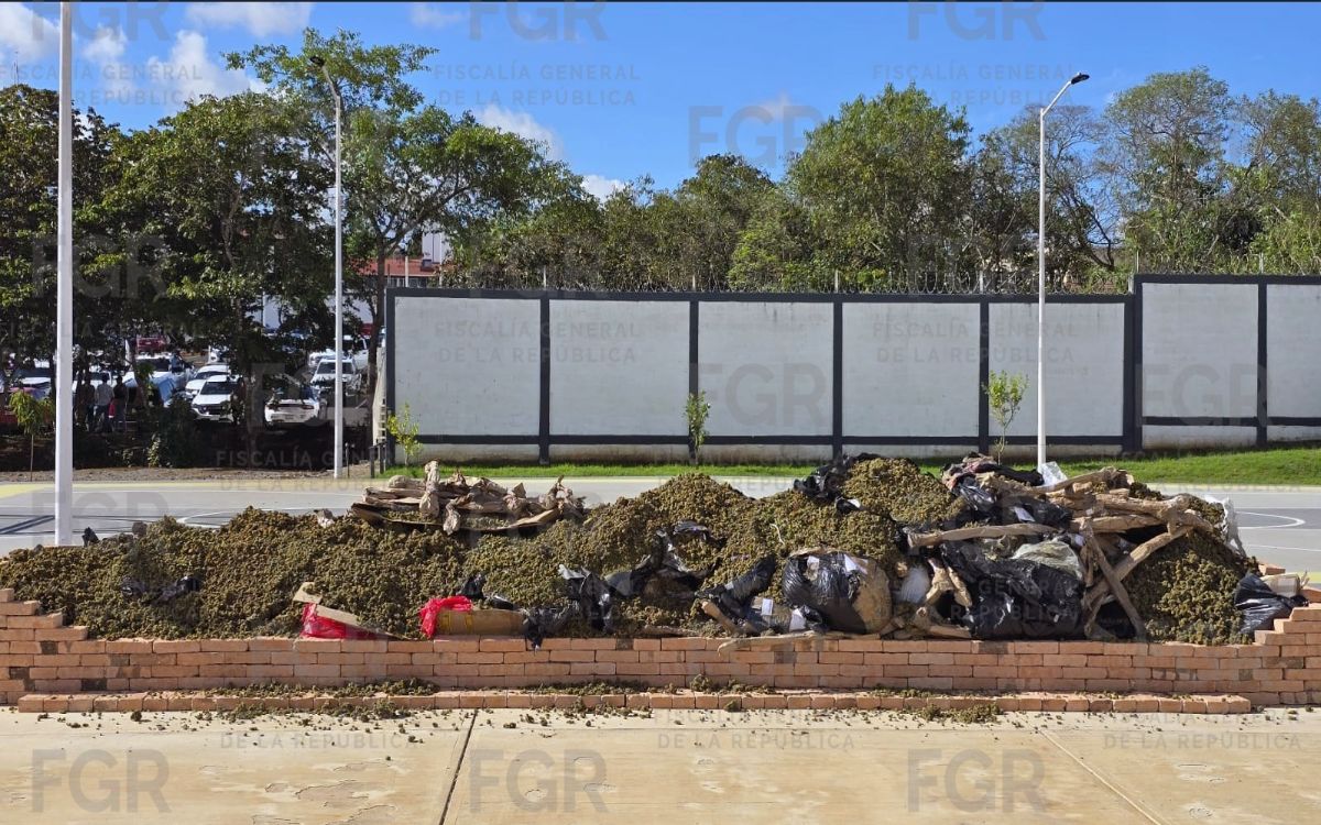 Nayarit | FGR destruye más de 940 kilos de droga Nayarit | FGR destruye más de 940 kilos de droga