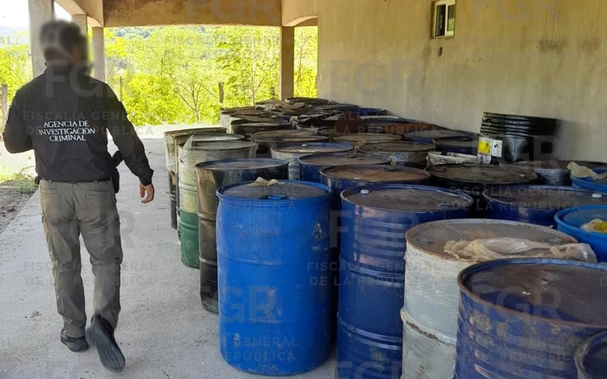Decomisa FGR precursores químicos con valor de 60 millones de dólares en Tamazula, municipio del 'Triángulo Dorado' Decomisa FGR precursores químicos con valor de 60 millones de dólares en Tamazula, municipio del 'Triángulo Dorado'