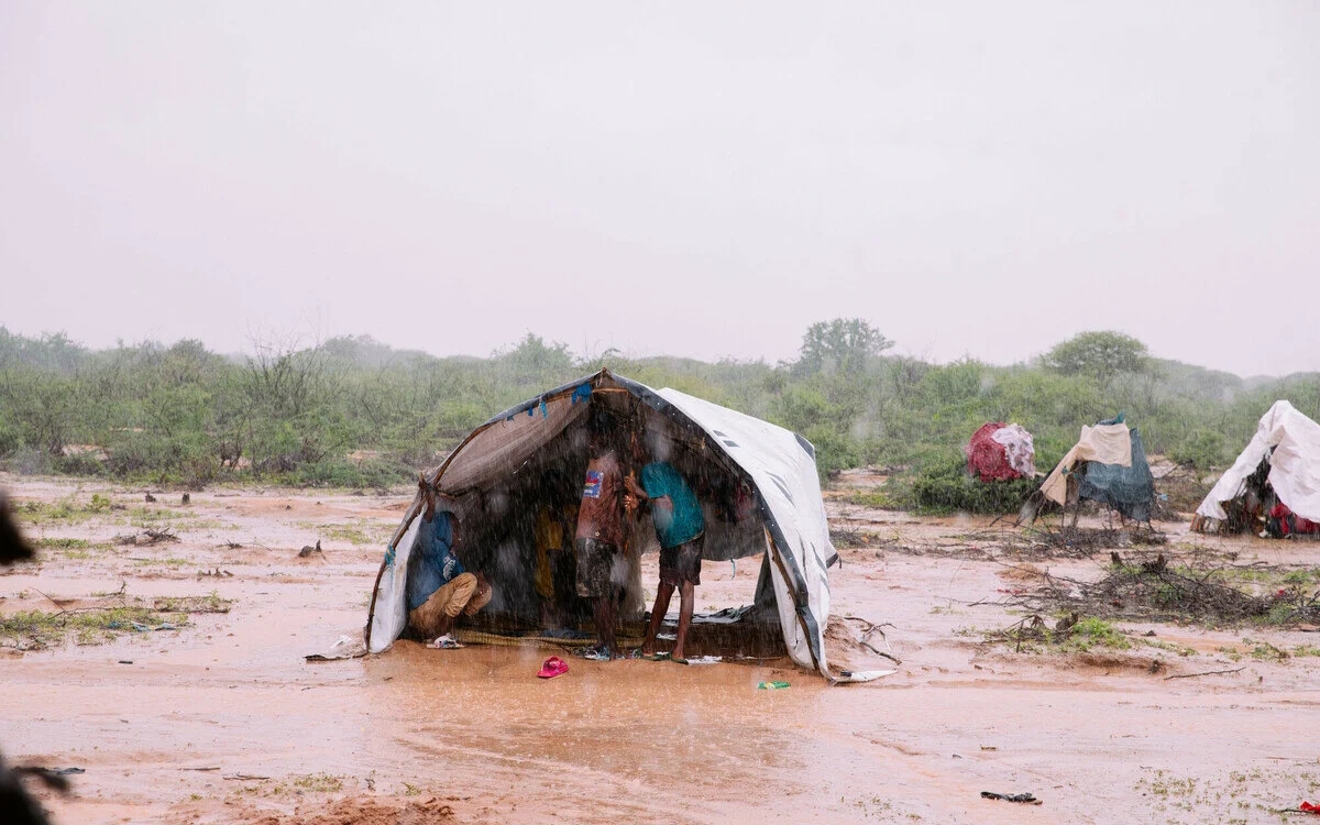 Países ricos inflan 100 mil millones dólares para lucha contra cambio climático en 2024 Países ricos inflan 100 mil millones dólares para lucha contra cambio climático en 2024