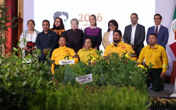 Gobierno reforestará 32 mil hectáreas con 6.6 millones de árboles Gobierno reforestará 32 mil hectáreas con 6.6 millones de árboles