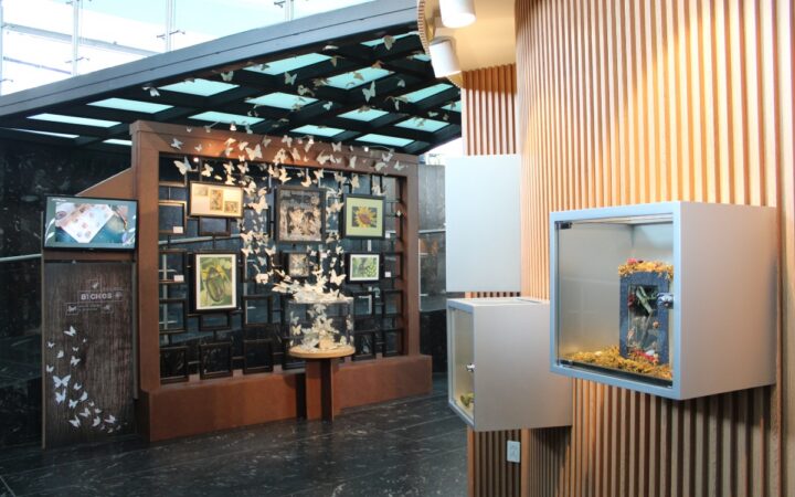 El arte en los museos de historia natural | MHNCA El arte en los museos de historia natural | MHNCA