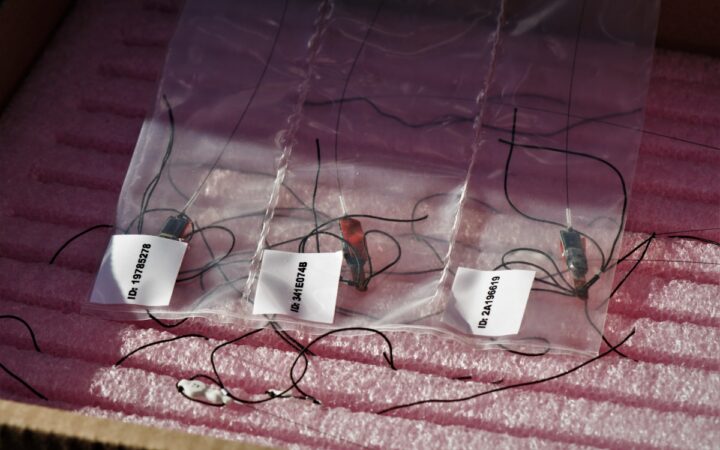 La Red MOTUS: ciencia para proteger las aves migratorias | Pronatura Noreste La Red MOTUS: ciencia para proteger las aves migratorias | Pronatura Noreste