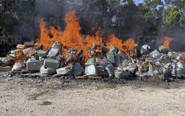 Destruyen más de 184 kilos de narcóticos y 806 objetos del delito en Quintana Roo Destruyen más de 184 kilos de narcóticos y 806 objetos del delito en Quintana Roo