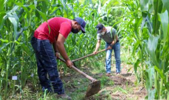 Sequías, el Niño y más crisis ambientales en la llegada de Latinoamérica a la COP17 | Mongabay Latam