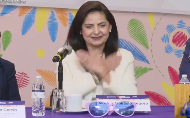 Mónica Soto renuncia al Tribunal Electoral tras casi 10 años en el cargo Mónica Soto renuncia al Tribunal Electoral tras casi 10 años en el cargo