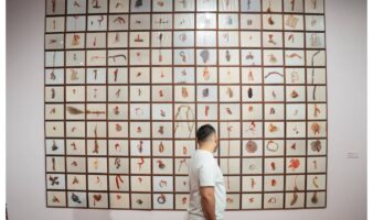 El MAM revive dos exposiciones clave para el arte contemporáneo mexicano de los noventa
