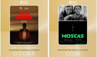 Y la película mexicana que va por el Oscar es…