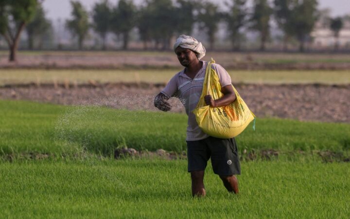 Los pesticidas ocasionan 11,000 muertes al año, el 60 % en la India, según estudio Los pesticidas ocasionan 11,000 muertes al año, el 60 % en la India, según estudio