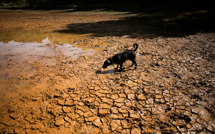 El Niño podría causar 451,000 muertes adicionales en el mundo hasta febrero El Niño podría causar 451,000 muertes adicionales en el mundo hasta febrero