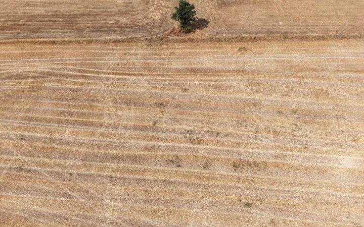Francia prevé un impacto económico debido a la sequía y olas de calor Francia prevé un impacto económico debido a la sequía y olas de calor