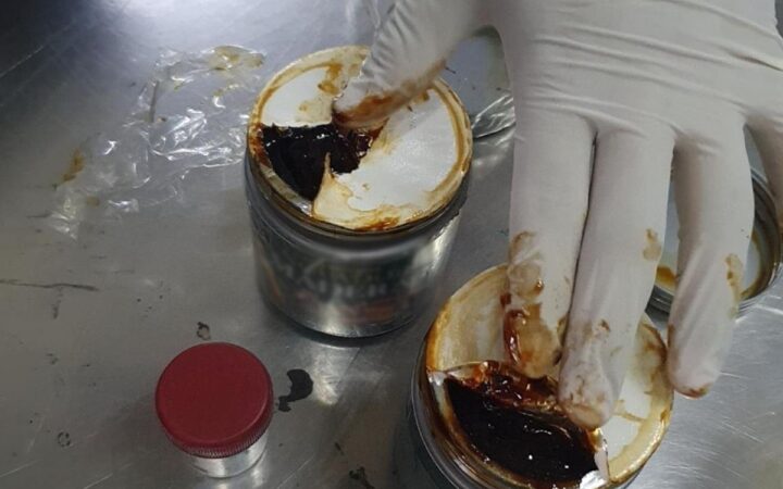 Aseguran ayahuasca en el AICM Aseguran ayahuasca en el AICM