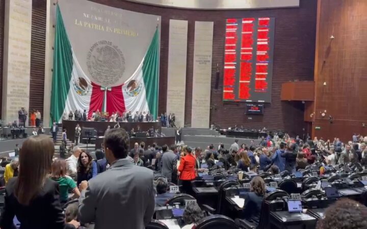 Diputados aprueban nacionalidad única para Presidencia y estados Diputados aprueban nacionalidad única para Presidencia y estados