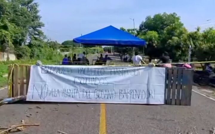 Población bloquea planta contra el gusano barrenador en Chiapas Población bloquea planta contra el gusano barrenador en Chiapas