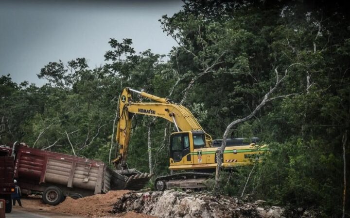 Defender el territorio con la ley en contra: ¿Cómo las reformas al amparo dificultan la justicia ambiental en México? Defender el territorio con la ley en contra: ¿Cómo las reformas al amparo dificultan la justicia ambiental en México?