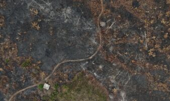 COP17 alerta por retrasos en protección de biodiversidad rumbo a 2030
