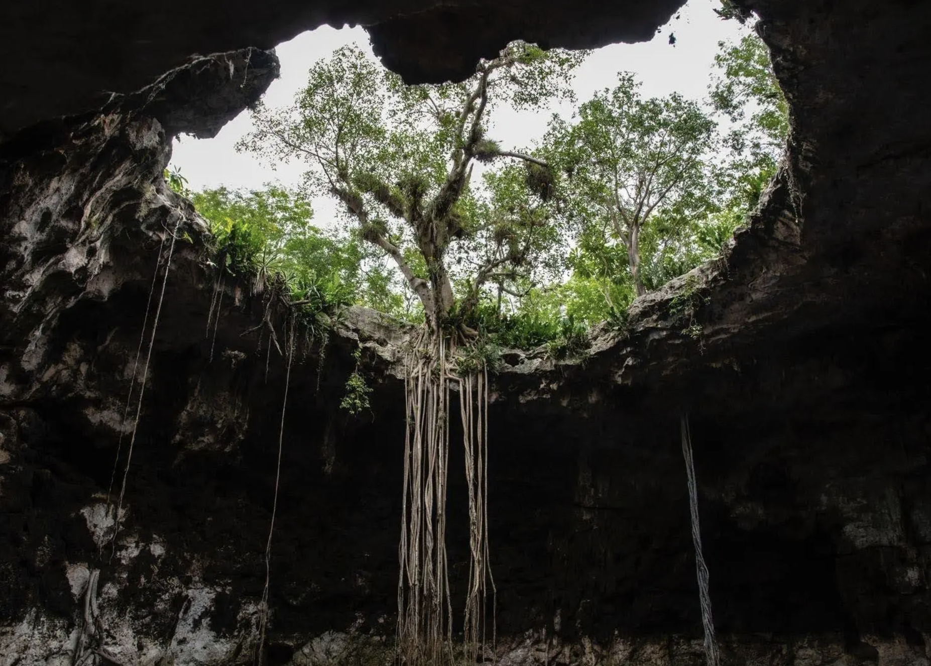 Cenote el estado de Yucatán, sureste de México. Fotografía: Rafael del Río