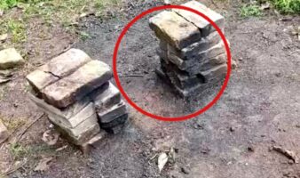 'Movías la maleza y salía un huesito', dice buscadora sobre sitio de exterminio en Nayarit