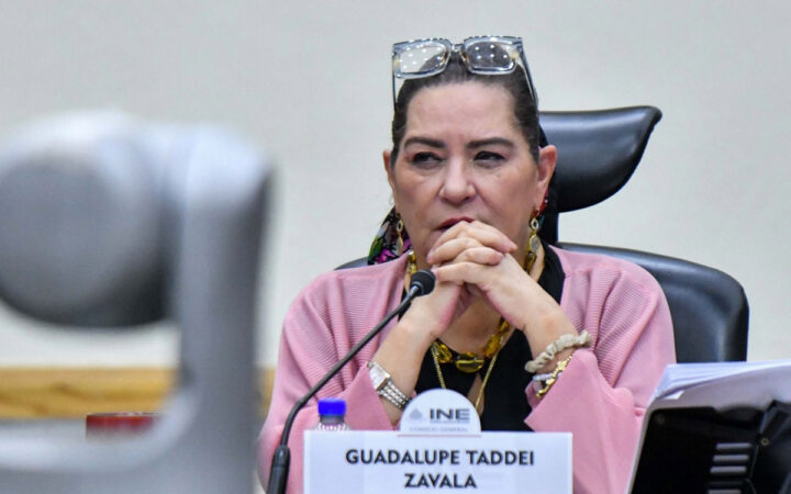 Observatorio ciudadano exige investigar a Taddei por presuntas irregularidades en el INE Observatorio ciudadano exige investigar a Taddei por presuntas irregularidades en el INE