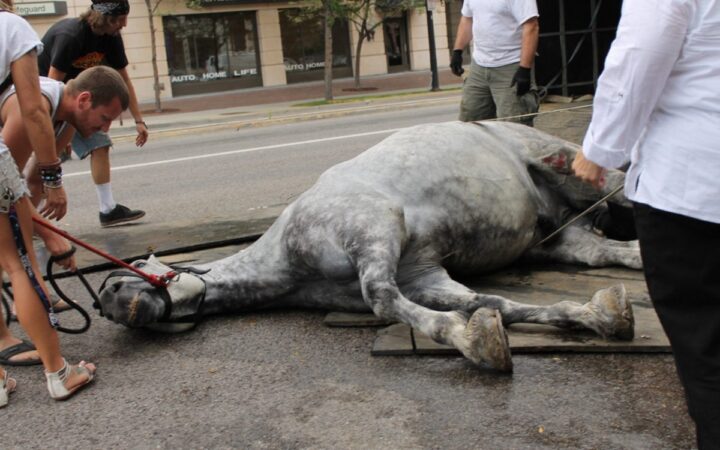 ¡Histórico! Nueva York prohíbe los carruajes tirados por caballos tras 20 años de debate ¡Histórico! Nueva York prohíbe los carruajes tirados por caballos tras 20 años de debate