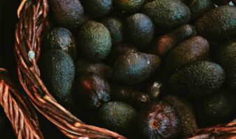Sheinbaum anuncia acuerdos para fortalecer la producción de aguacate de exportación