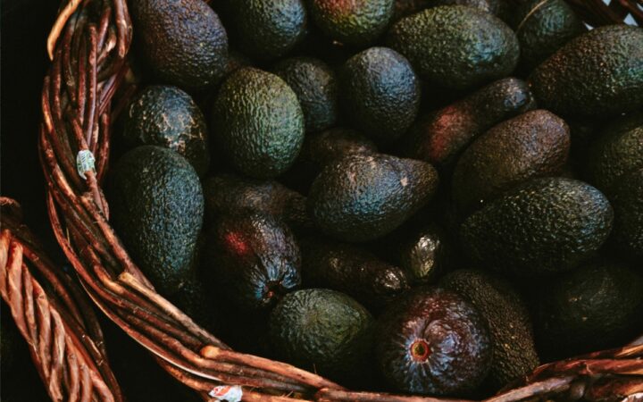 Sheinbaum anuncia acuerdos para fortalecer la producción de aguacate de exportación Sheinbaum anuncia acuerdos para fortalecer la producción de aguacate de exportación